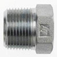 Brennan 3/4 Inch (in) Male British Standard Pipe Taper End Style Plug (02465537)