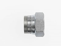 Brennan 1/8 Inch (in) Female British Standard Pipe Parallel End Style Cap (02479390)