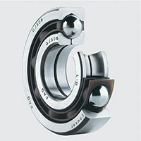 FAG (Schaeffler) QJ2 Series 32 Millimeter (mm) Outer Ring Width Four-Point Contact Bearing (02946295)