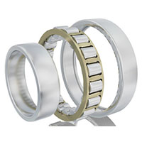 FAG (Schaeffler) NJ22 Series 200 Millimeter (mm) Bore Diameter Cylindrical Roller Bearing (03783201)