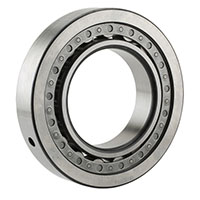 NTN MA Series 90 Millimeter (mm) Bore Diameter Cylindrical Roller Bearing (02955354)