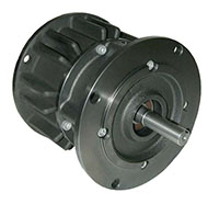 Nexen 0.6250 Inch (in) Bore Size Friction Clutch (01126257)