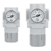 SMC® 0.17 Kilogram (kg) Weight Precision Regulator (09859043)