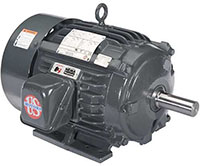 Nidec 1175 and 965 Revolutions per Minute (rpm) Base Speed Severe Duty Motor