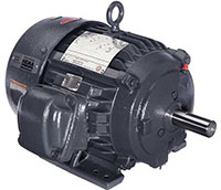 Nidec Explosion Proof/Hazardous Location Severe Duty Motors