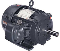 Nidec 1760 Revolutions per Minute (rpm) Base Speed Explosion Proof/Hazardous Location Severe Duty Motor