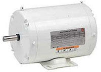 Nidec General Purpose Washdown Duty Motor (04487534)