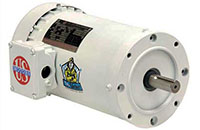 Nidec General Purpose Washdown Duty Motor (158375, 158657, and 158658)