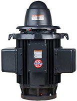 Nidec 1765 Revolutions per Minute (rpm) Base Speed Vertical Hollow Shaft Motor