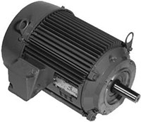 Nidec 1145 Revolutions per Minute (rpm) Base Speed General Purpose Motor