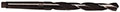 Precision Twist Drill® (01693380)