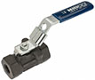 Nibco 1/4 Inch (in) Size Ball Valve (06442054)
