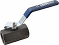Nibco 1 Inch (in) Size Ball Valve (06442066)