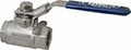 Nibco 3/4 Inch (in) Size Ball Valve (04818410)