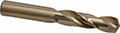 Precision Twist Drill® (01695561)