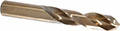 Precision Twist Drill® (01695568)
