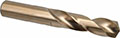 Precision Twist Drill® (01695571)