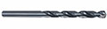 Precision Twist Drill® (01688924)