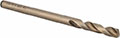Precision Twist Drill® (01689019)