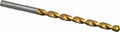 Precision Twist Drill® (01690844)