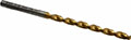 Precision Twist Drill® (01691079)