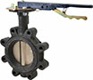 Nibco 4 Inch (in) Size Butterfly Valve (06441763)