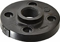 Nibco 1 Inch (in) Size Thread Flange (06441087)