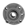 AMI 25 Millimeter (mm) Bore Diameter Flange-Mount Ball Bearing Unit (03771972)