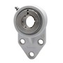 AMI 0.7500 Inch (in) Bore Diameter Flange-Mount Ball Bearing Unit (03511941)