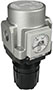 SMC® 1 Inch (in) Port Size Standard Air Regulator (02007196)
