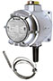 Barksdale Temperature Switches