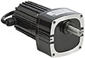 Bodine 21.0 Revolotions Per Minute (RPM) Output Speed Parallel Brushless Direct Current (DC) Gearmotor (00533471)
