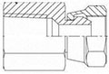 Brennan 1/4 Inch (in) Female Pipe Swivel End Style x 1/4 Inch (in) Female Pipe Rigid Steel End Style Straight Adapter (00321492)