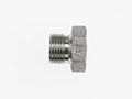 Brennan 1 Inch (in) Male British Standard Pipe Parallel End Style Plug (02464072)