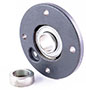 INA (Schaeffler) RME Series 35 Millimeter (mm) Bore Diameter Flange-Mount Ball Bearing Unit (00564735)