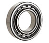 NTN MA Series 25 Millimeter (mm) Bore Diameter Cylindrical Roller Bearing (02280821)