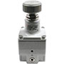 SMC® Precision Regulator (10096695)