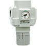 SMC® 3/8 Inch (in) Port Size Standard Air Regulator (02774852)
