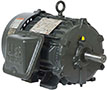 Nidec General Purpose Motor